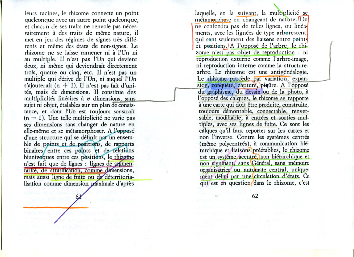Rhizome016